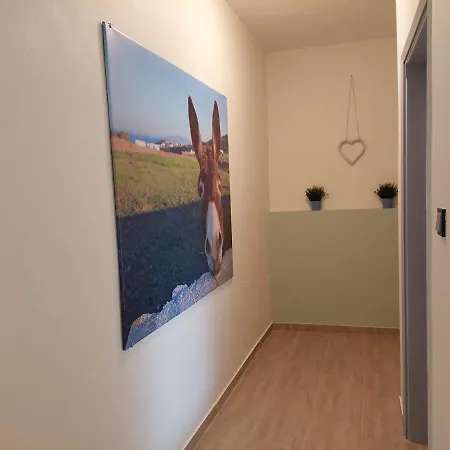Apartment 1 *
