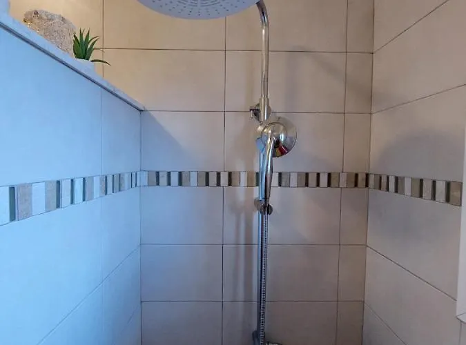 1 * 新马尔马拉斯